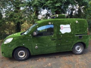 Innocent grassy van